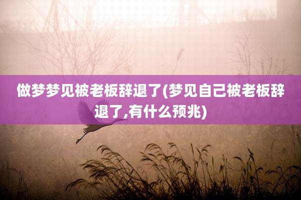 做梦梦见被老板辞退了(梦见自己被老板辞退了,有什么预兆)