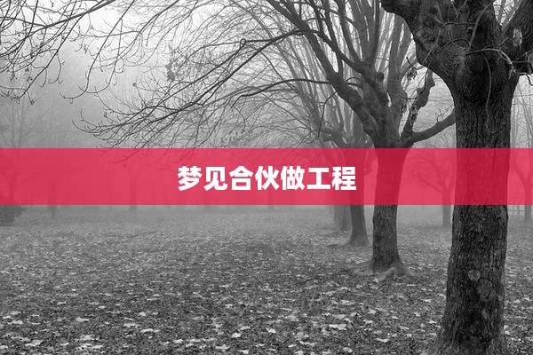 梦见合伙做工程