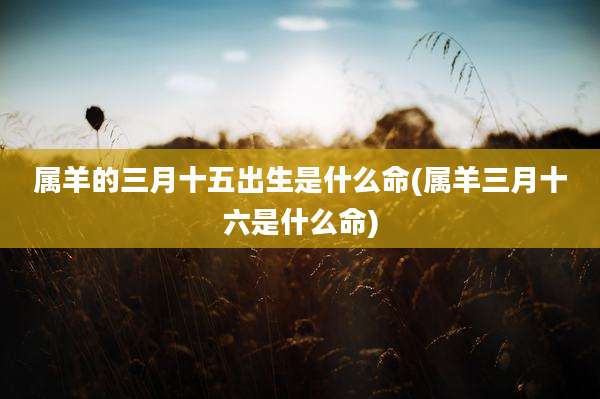 属羊的三月十五出生是什么命(属羊三月十六是什么命)