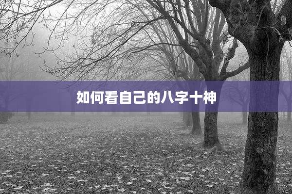 如何看自己的八字十神