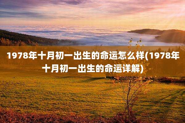 1978年十月初一出生的命运怎么样(1978年十月初一出生的命运详解)