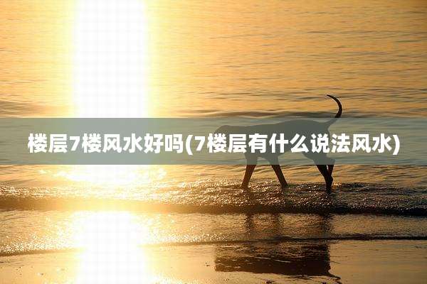 楼层7楼风水好吗(7楼层有什么说法风水)