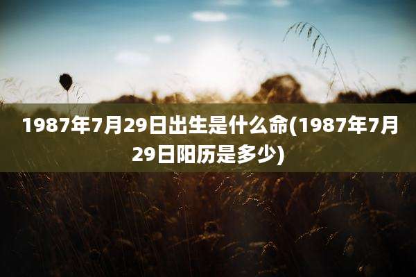 1987年7月29日出生是什么命(1987年7月29日阳历是多少)