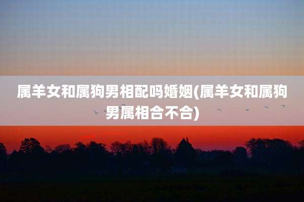 属羊女和属狗男相配吗婚姻(属羊女和属狗男属相合不合)