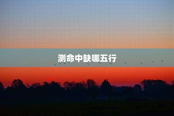 测命中缺哪五行