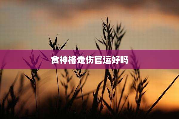 食神格走伤官运好吗