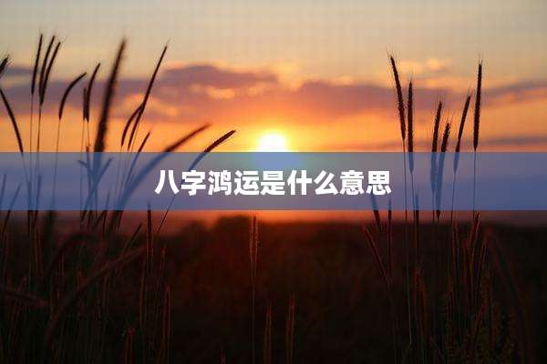 八字鸿运是什么意思