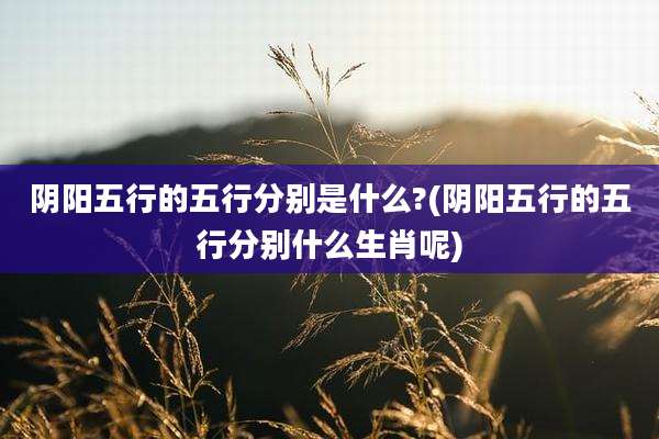 阴阳五行的五行分别是什么?(阴阳五行的五行分别什么生肖呢)