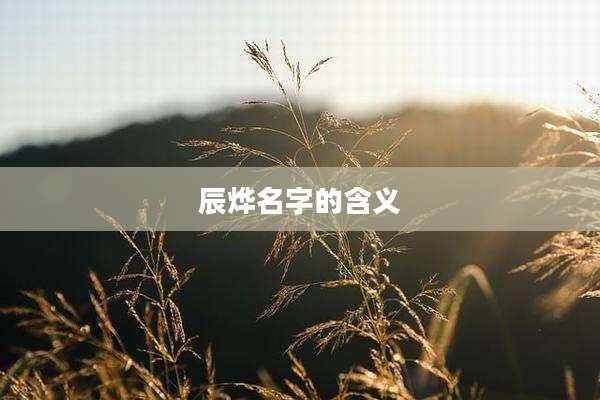 辰烨名字的含义