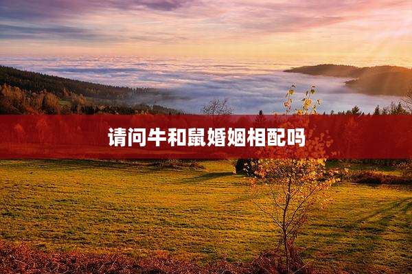 请问牛和鼠婚姻相配吗