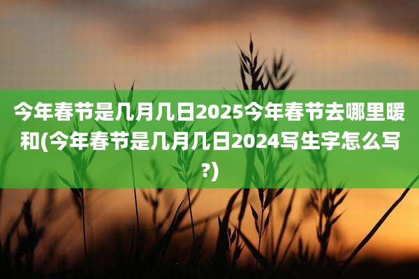 今年春节是几月几日2025今年春节去哪里暖和(今年春节是几月几日2024写生字怎么写?)