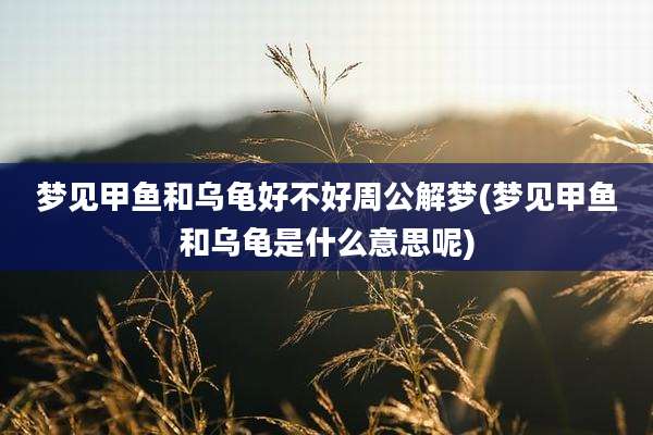 梦见甲鱼和乌龟好不好周公解梦(梦见甲鱼和乌龟是什么意思呢)
