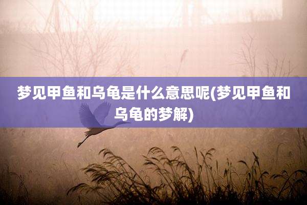 梦见甲鱼和乌龟是什么意思呢(梦见甲鱼和乌龟的梦解)