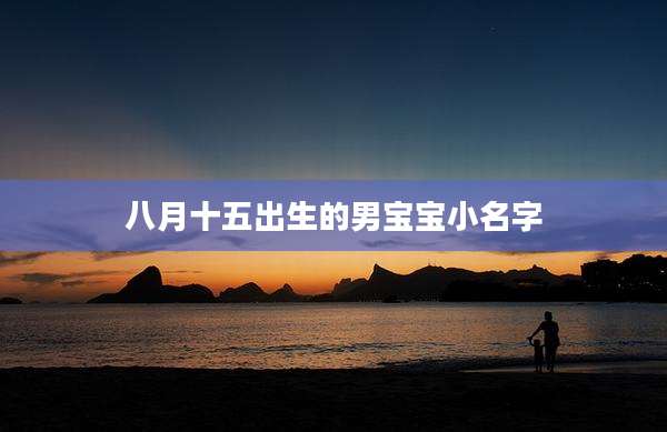 八月十五出生的男宝宝小名字