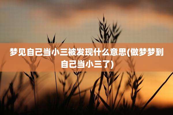 梦见自己当小三被发现什么意思(做梦梦到自己当小三了)