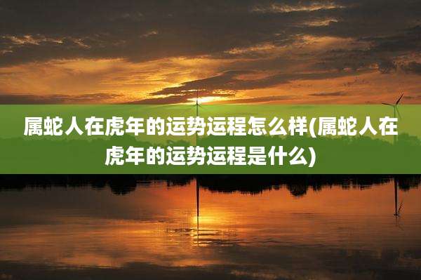 属蛇人在虎年的运势运程怎么样(属蛇人在虎年的运势运程是什么)