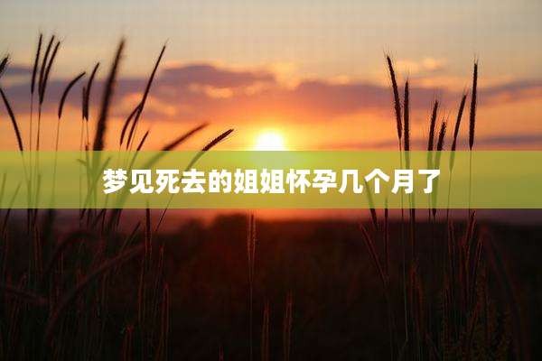 梦见死去的姐姐怀孕几个月了