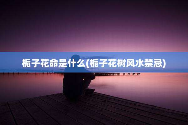 栀子花命是什么(栀子花树风水禁忌)