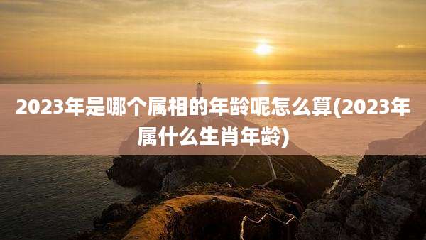 2023年是哪个属相的年龄呢怎么算(2023年属什么生肖年龄)