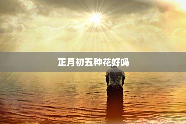 正月初五种花好吗