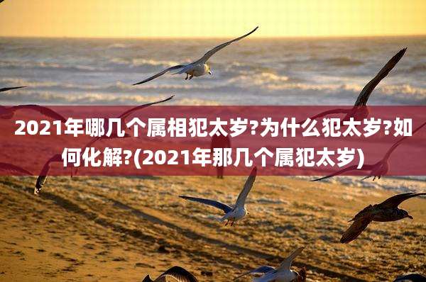 2021年哪几个属相犯太岁?为什么犯太岁?如何化解?(2021年那几个属犯太岁)