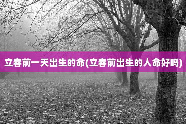 立春前一天出生的命(立春前出生的人命好吗)
