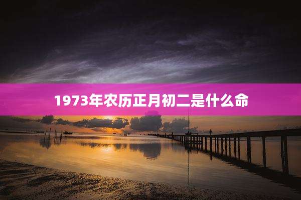 1973年农历正月初二是什么命