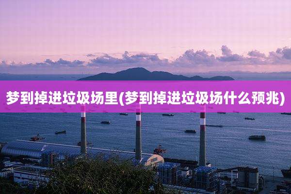 梦到掉进垃圾场里(梦到掉进垃圾场什么预兆)