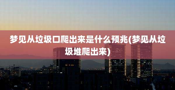 梦见从垃圾口爬出来是什么预兆(梦见从垃圾堆爬出来)