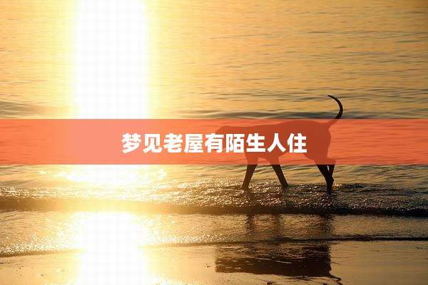 梦见老屋有陌生人住