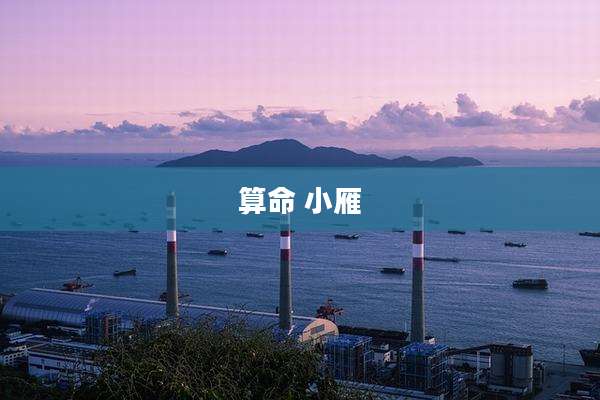 算命 小雁