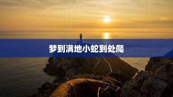 梦到满地小蛇到处爬