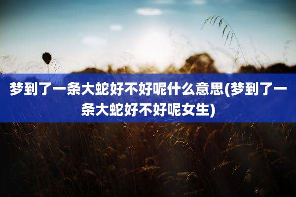 梦到了一条大蛇好不好呢什么意思(梦到了一条大蛇好不好呢女生)