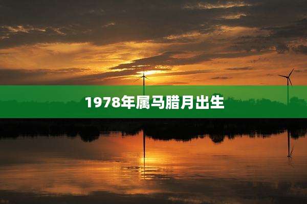 1978年属马腊月出生