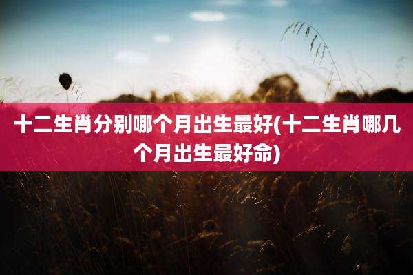 十二生肖分别哪个月出生最好(十二生肖哪几个月出生最好命)