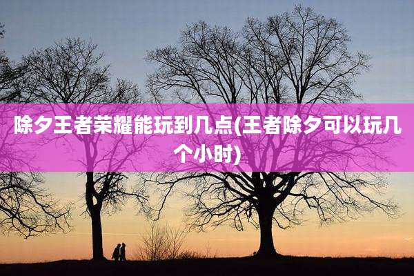 除夕王者荣耀能玩到几点(王者除夕可以玩几个小时)