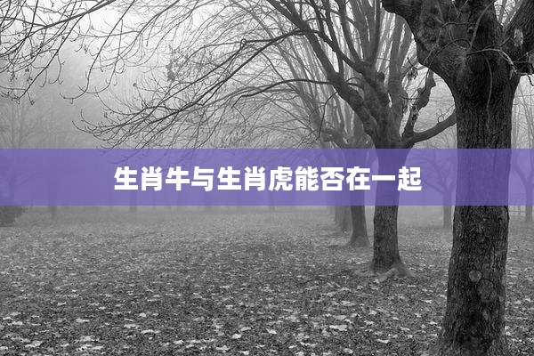生肖牛与生肖虎能否在一起