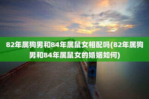 82年属狗男和84年属鼠女相配吗(82年属狗男和84年属鼠女的婚姻如何)