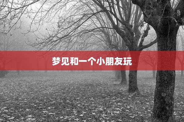 梦见和一个小朋友玩