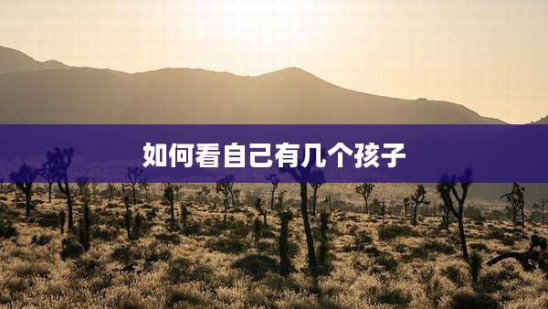 如何看自己有几个孩子
