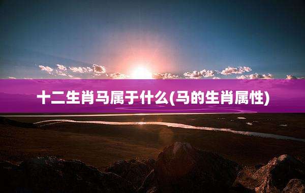 十二生肖马属于什么(马的生肖属性)