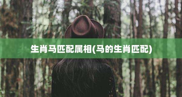 生肖马匹配属相(马的生肖匹配)
