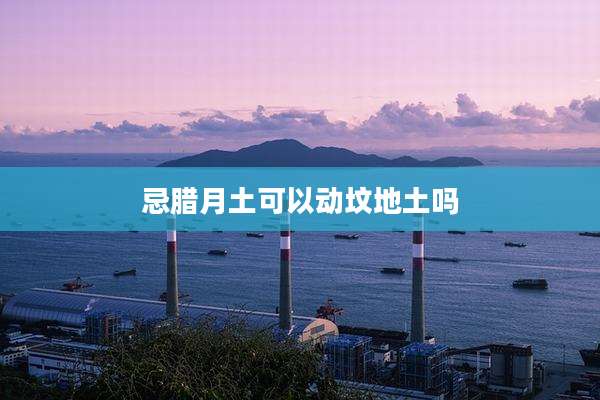 忌腊月土可以动坟地土吗