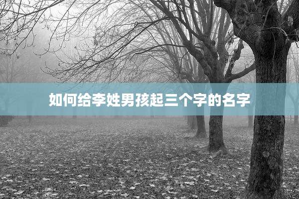如何给李姓男孩起三个字的名字
