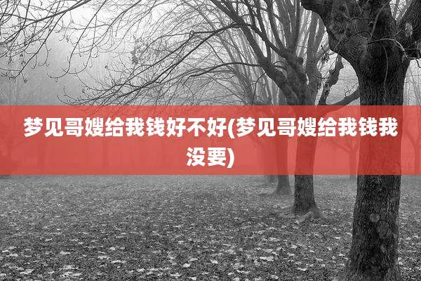 梦见哥嫂给我钱好不好(梦见哥嫂给我钱我没要)