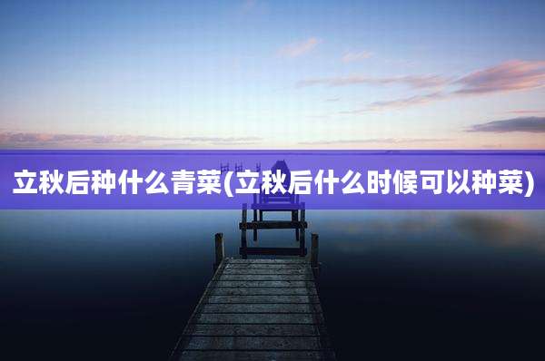 立秋后种什么青菜(立秋后什么时候可以种菜)
