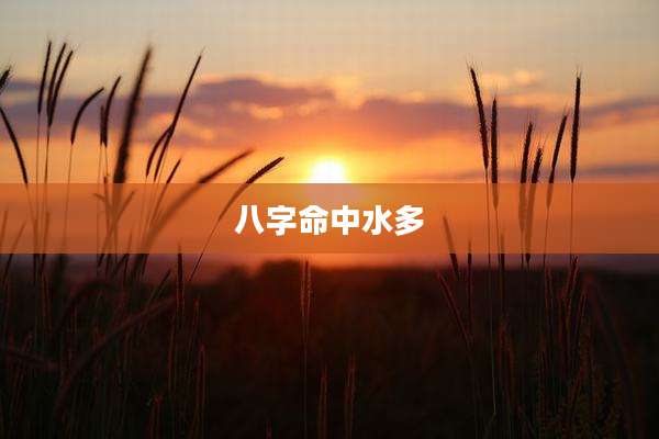 八字命中水多