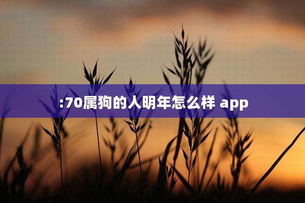 :70属狗的人明年怎么样 app