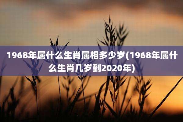 1968年属什么生肖属相多少岁(1968年属什么生肖几岁到2020年)