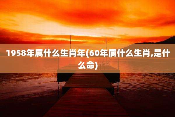 1958年属什么生肖年(60年属什么生肖,是什么命)